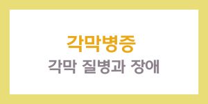 각막병증